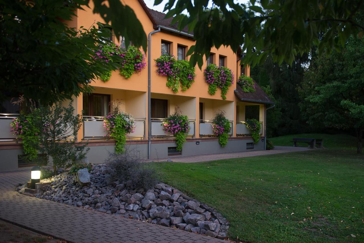 Le Moulin De La Walk Hotel Wissembourg Buitenkant foto